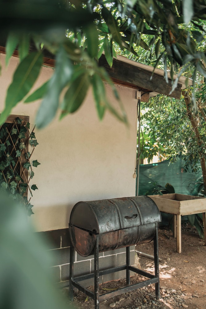 Basic Single Room, Non Smoking photo 3