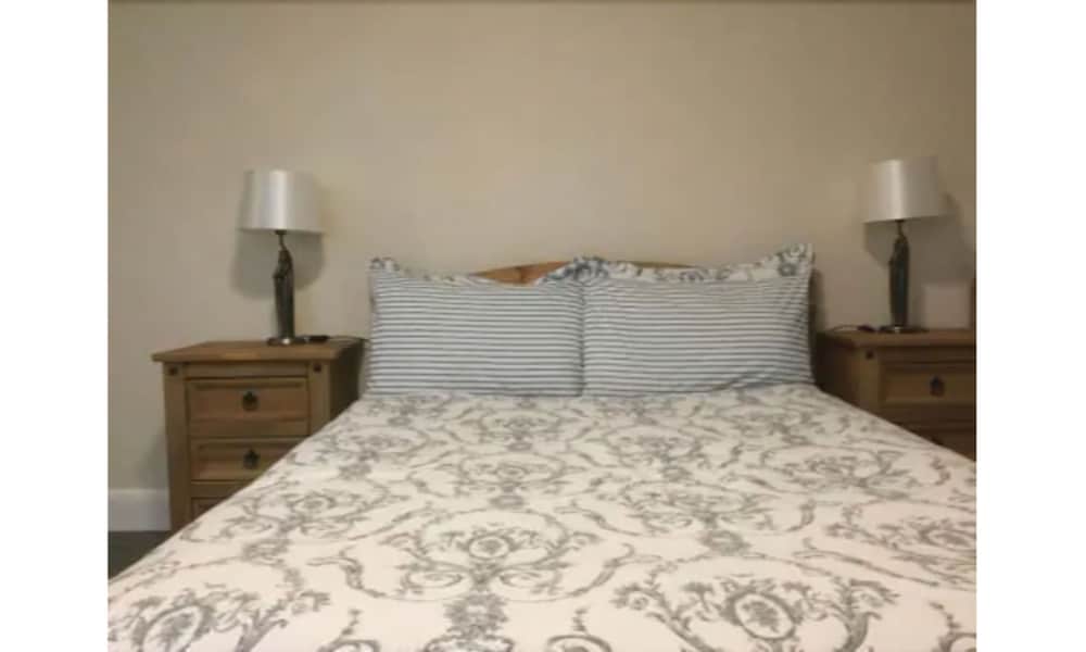 Room, 1 King Bed photo 2