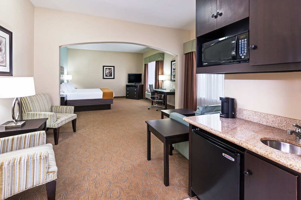 Suite, 1 King Bed - Photo 1