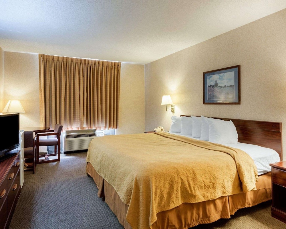 Standard Room, 1 King Bed, Smoking - Photo 1