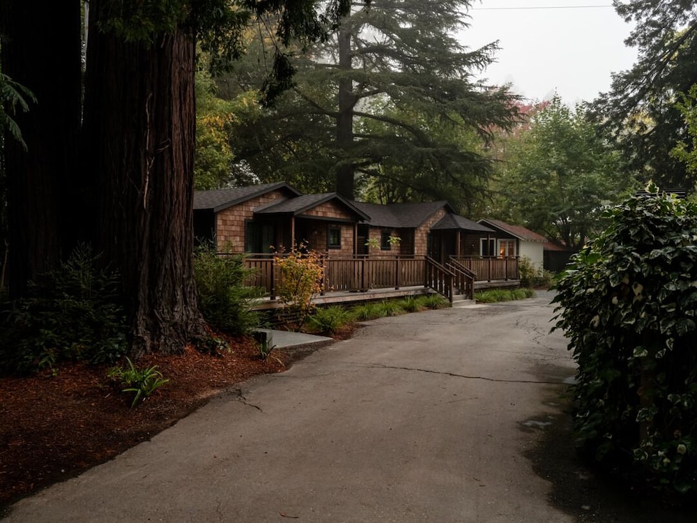 Murphy's Cabin - Photo 5