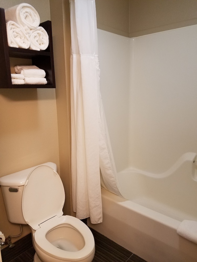 Suite, 1 Bedroom, Accessible, Kitchen (Communications Accessible) - Photo 5