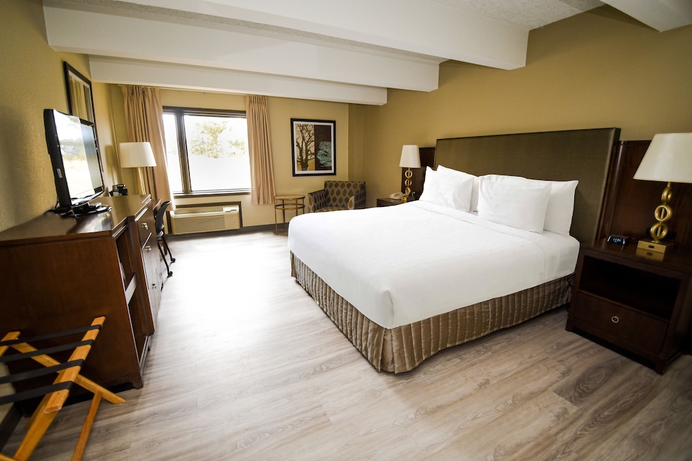 Premium Suite, 1 King Bed photo 2