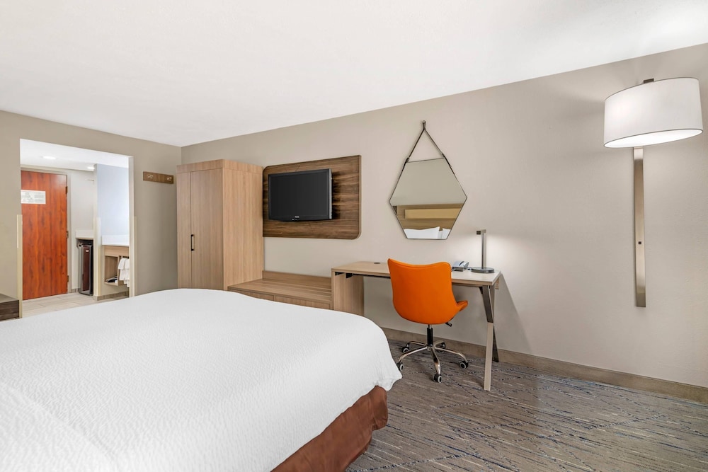 Standard Room, 1 King Bed, Non Smoking - Photo 4