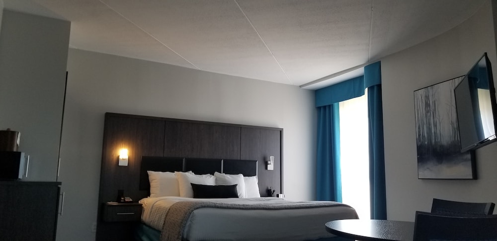 Standard Room, 1 King Bed, Non Smoking, Refrigerator (Shower only)