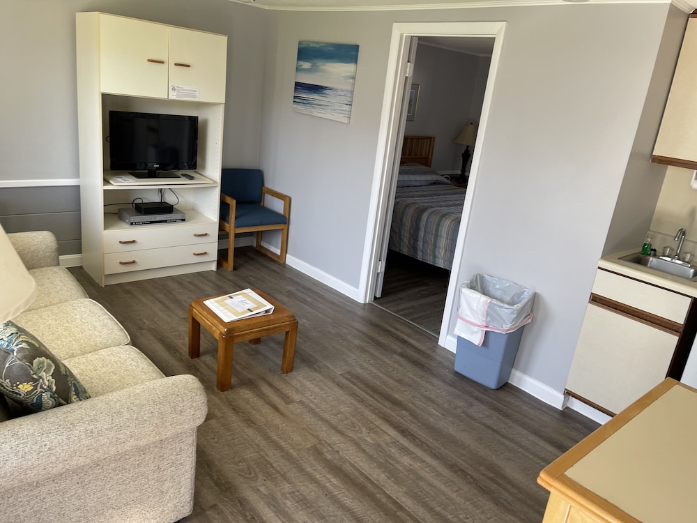 Large 1 Bedroom photo 1