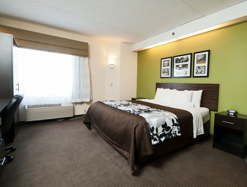 Standard Room, 1 King Bed, Non Smoking - Photo 1