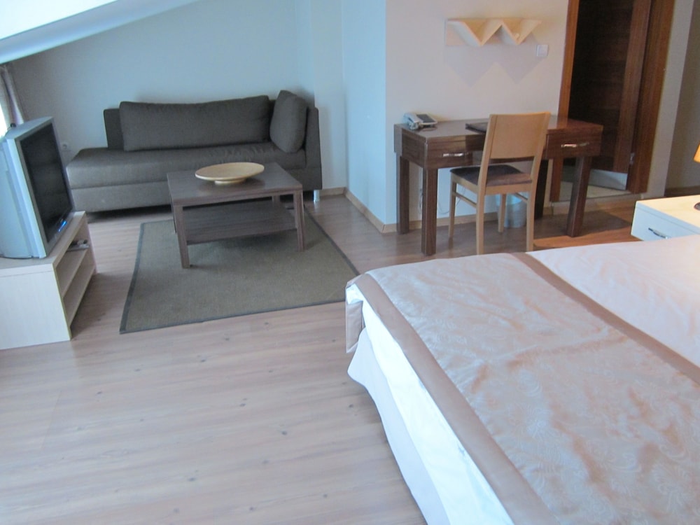 Roof Suite, Kitchen photo 3