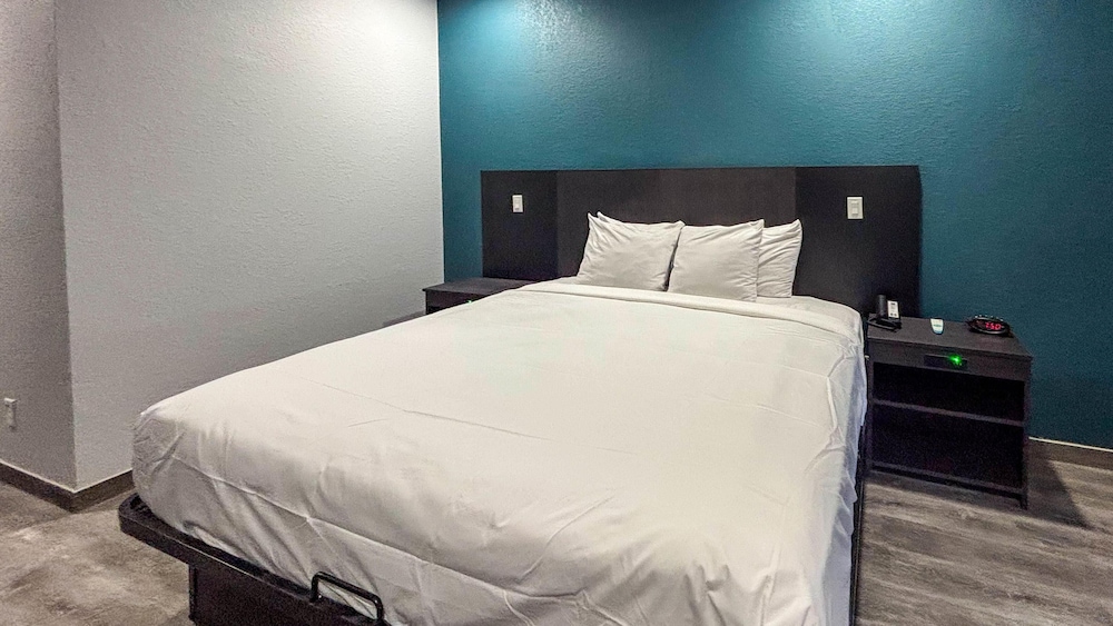 Standard Room, 1 King Bed, Non Smoking, Kitchen
