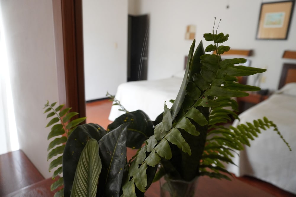 Standard Double Room - Photo 3