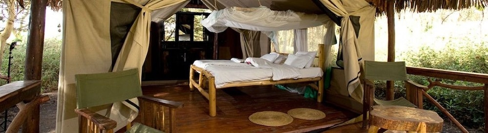 Tent, Garden View