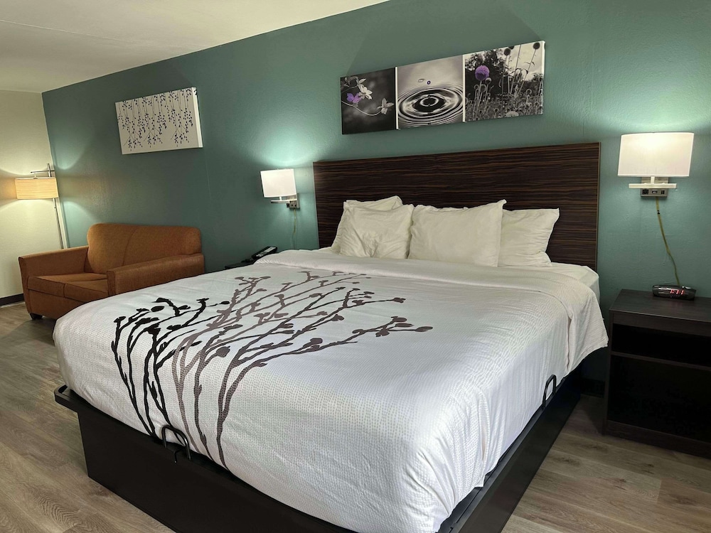 Suite, Multiple Beds, Hearing Accessible, Non Smoking (Efficiency) - Photo 4