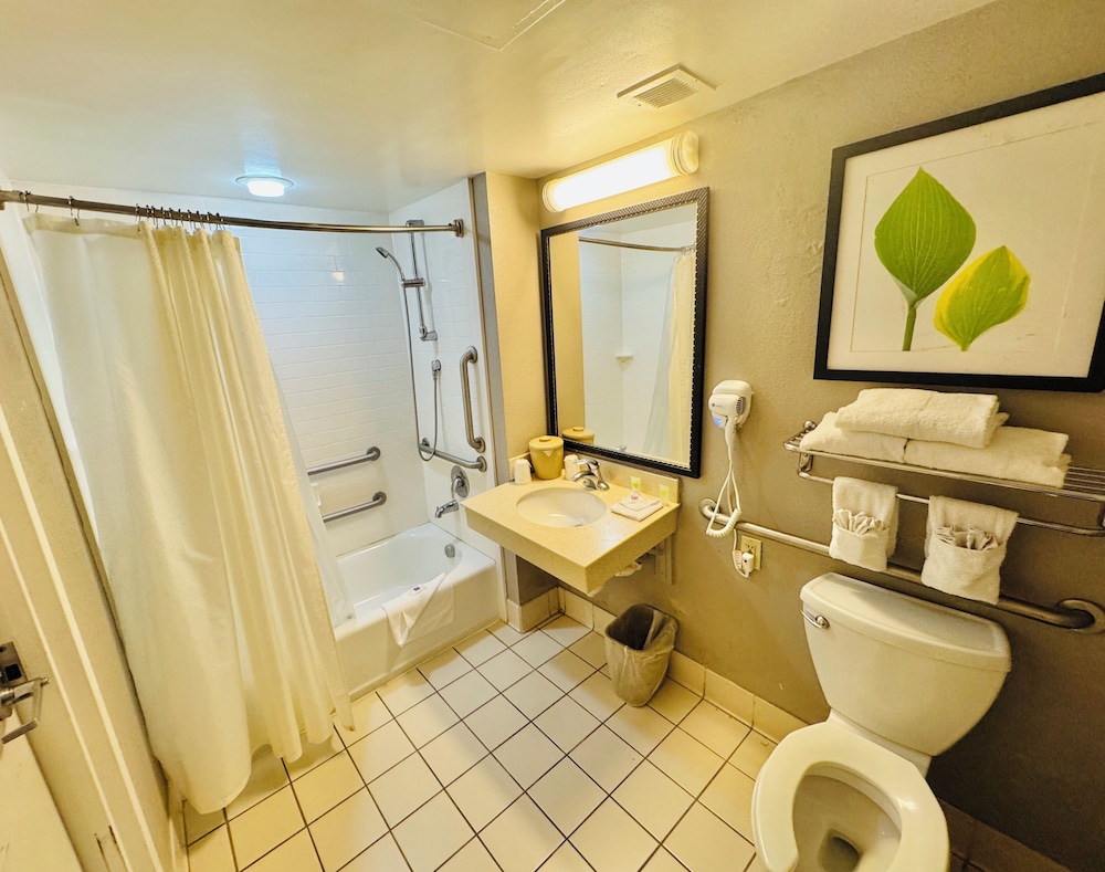 Standard Room, 1 Double Bed, Accessible, Non Smoking - Photo 10