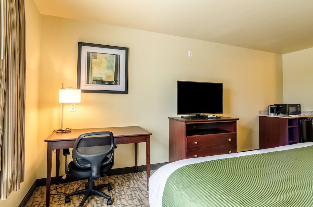 Room, 2 Queen Beds, Non Smoking photo 3