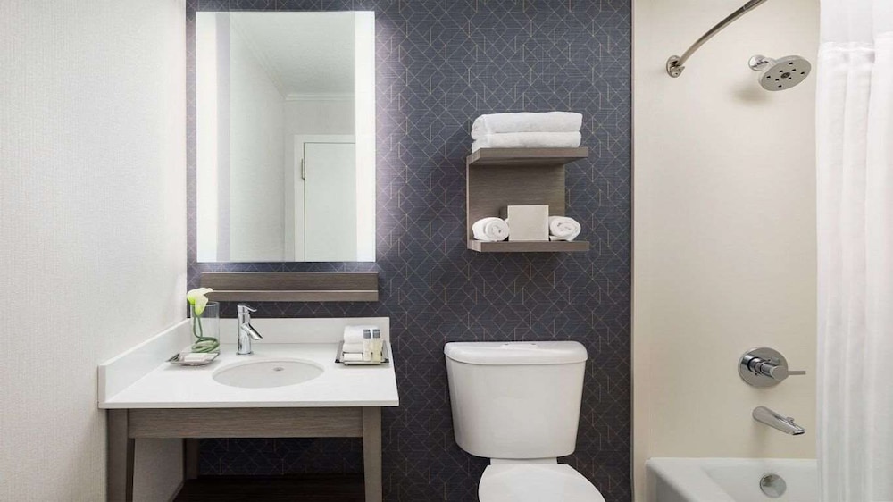 Suite (Caza) - Photo 6