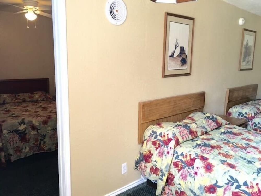 1 Bedroom with 3 Beds photo 2