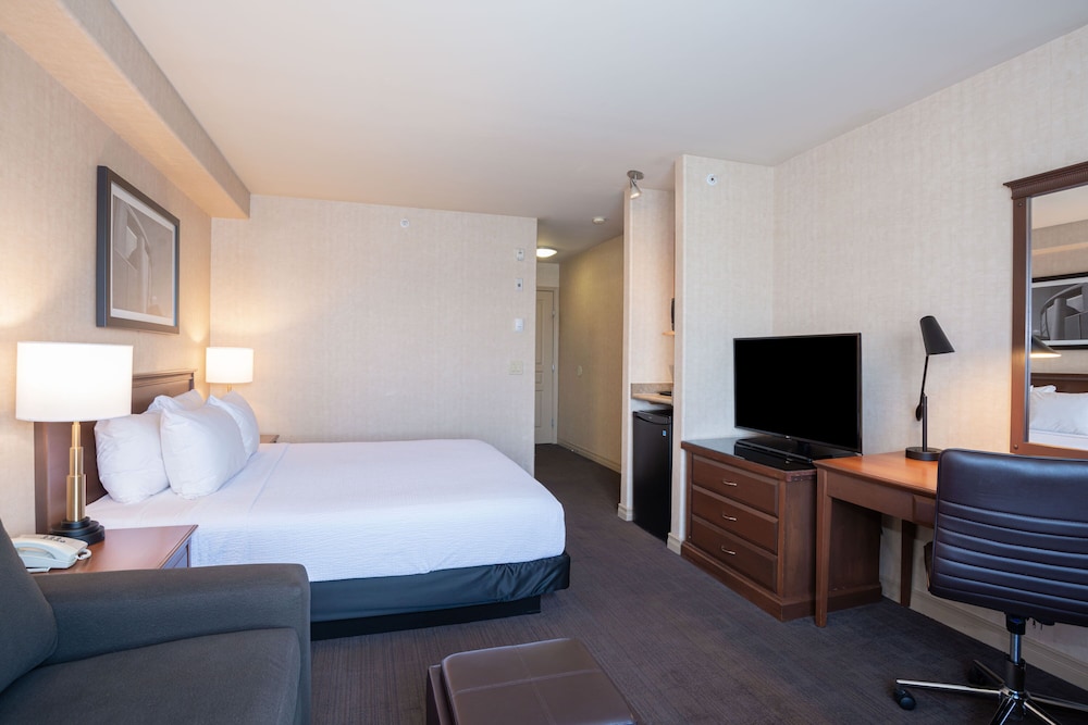 Standard Room, 1 King Bed with Sofa bed
