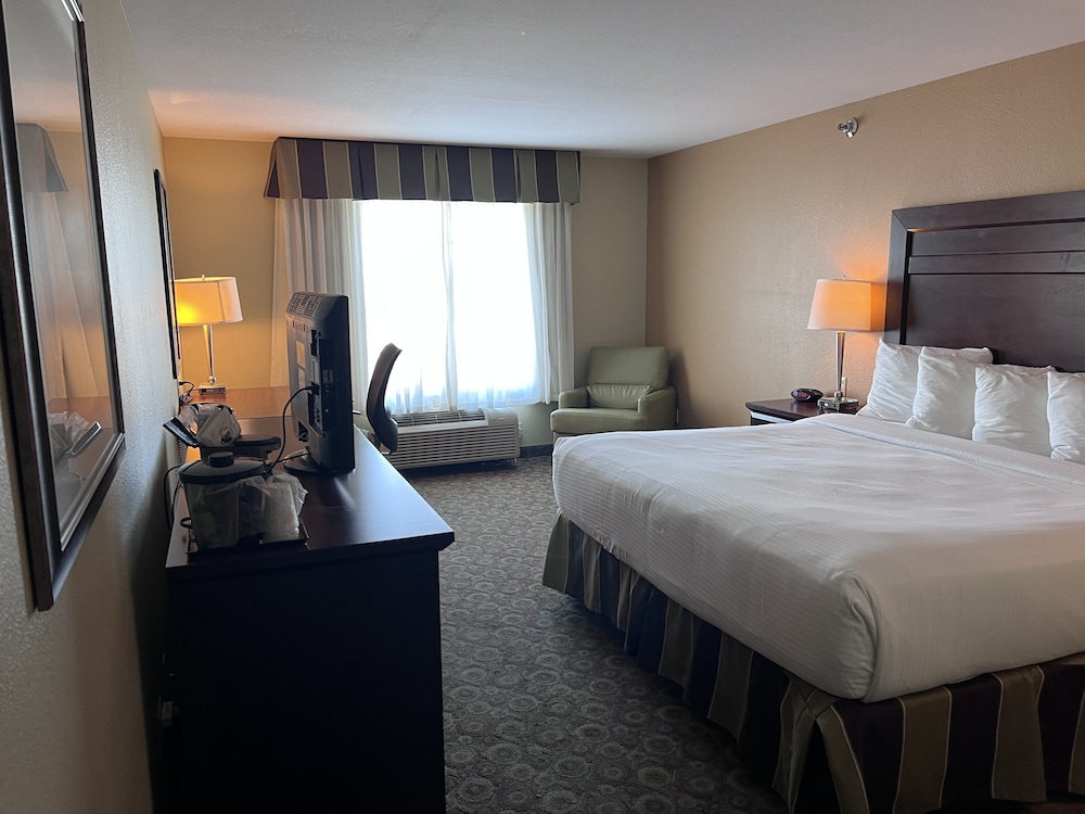 King Room - Photo 5