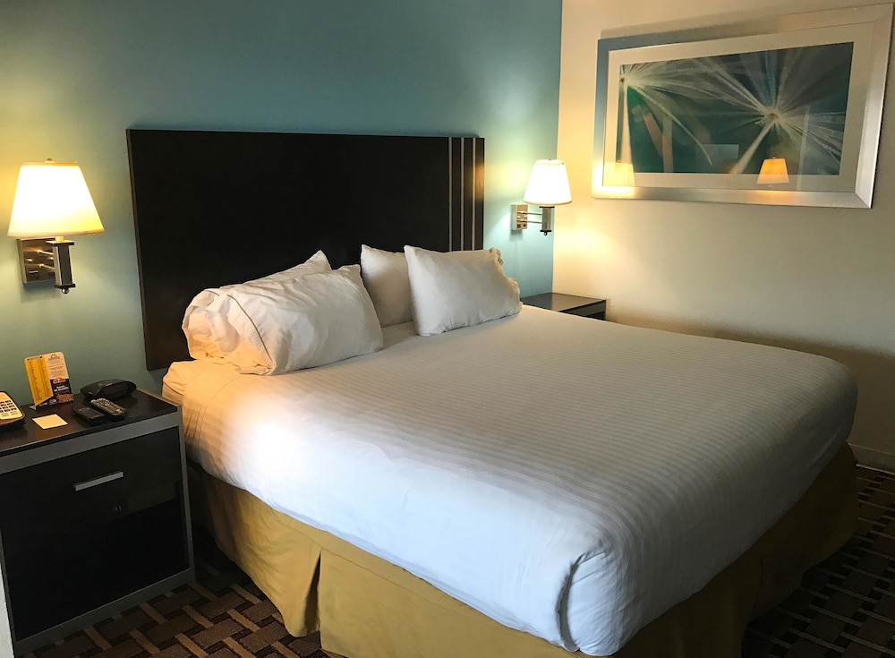 Room, 1 King Bed, Smoking - Photo 1