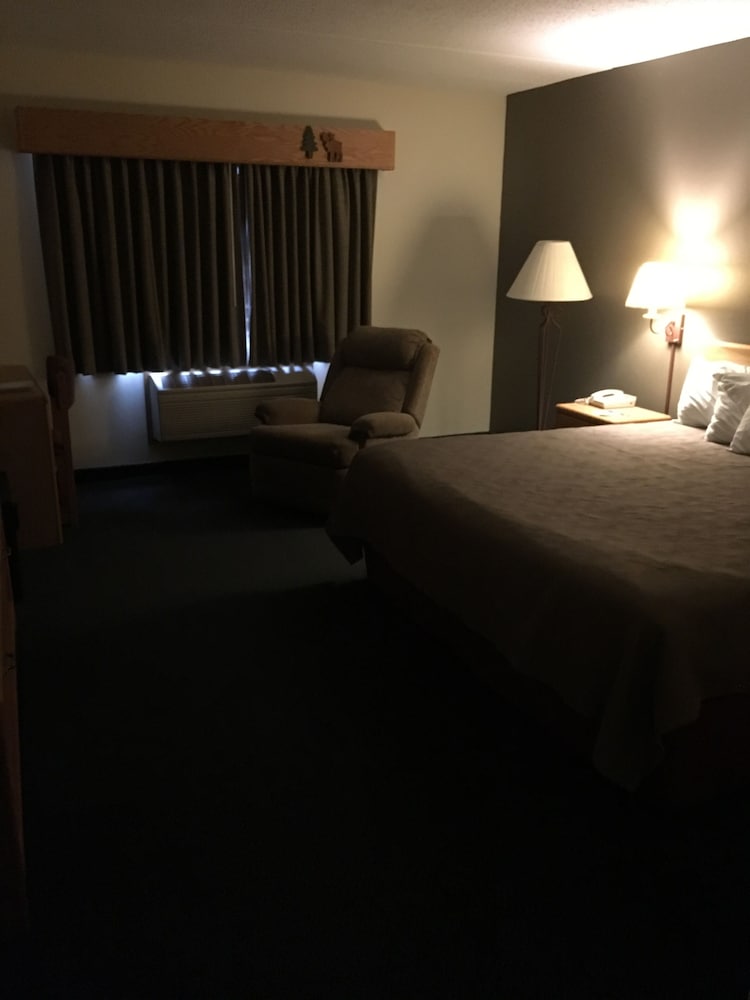 Room, 1 King Bed
