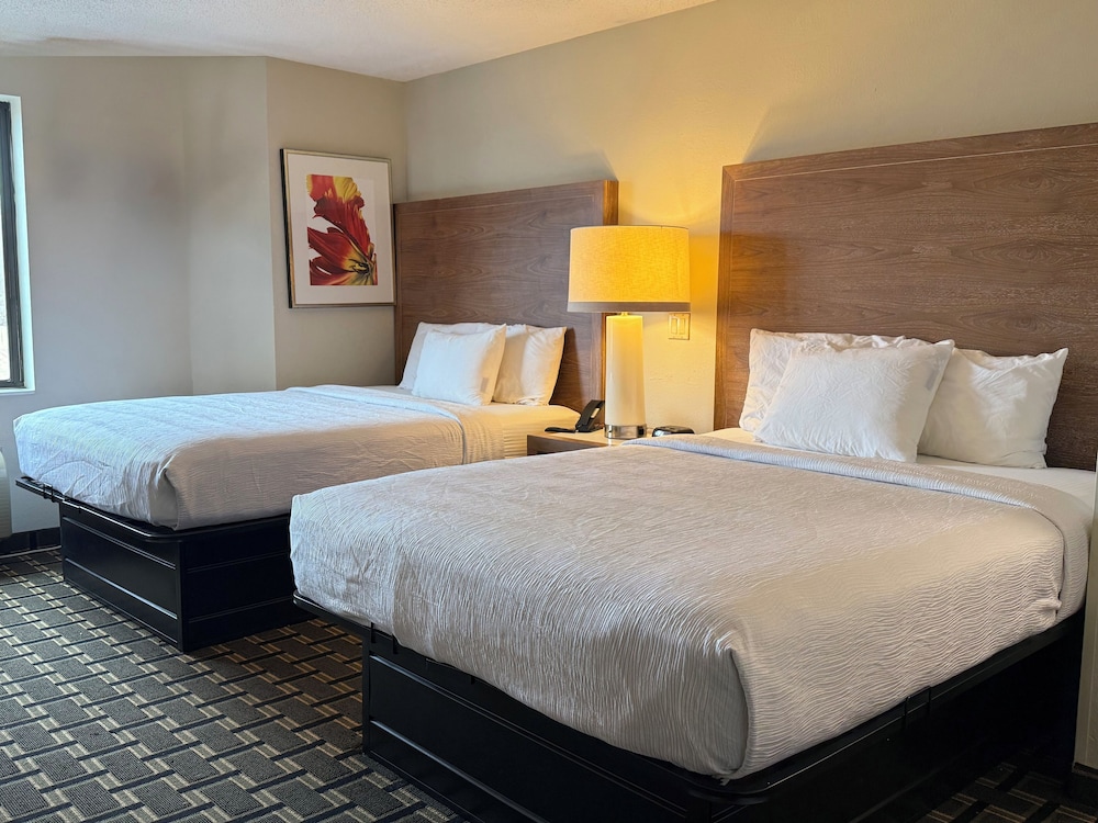 Standard Room, 2 Queen Beds, Non Smoking, Refrigerator & Microwave