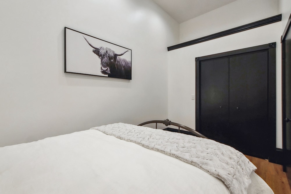Apartment (1 Bedroom) photo 3
