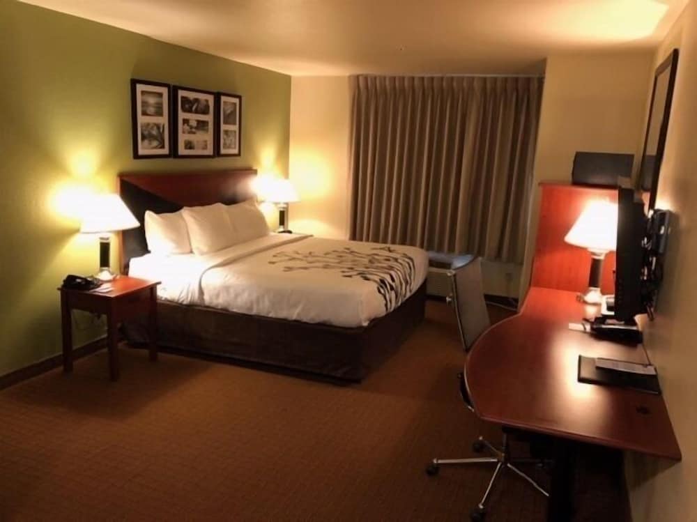 Standard Room, 1 King Bed, Non Smoking - Photo 1