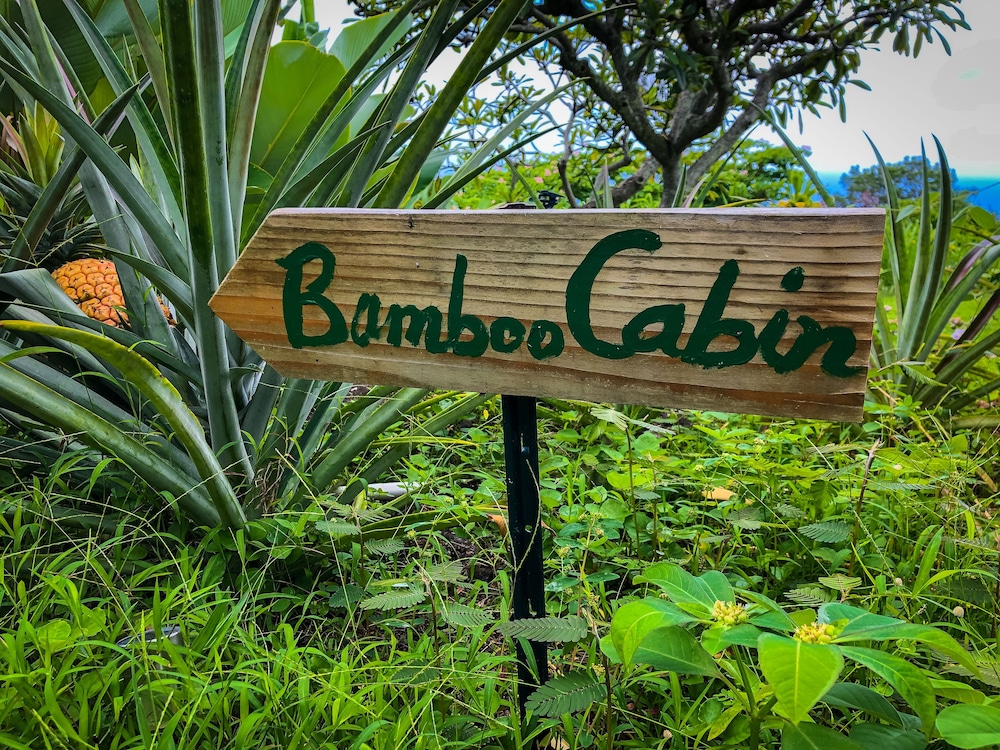 Bamboo Cabin photo 2