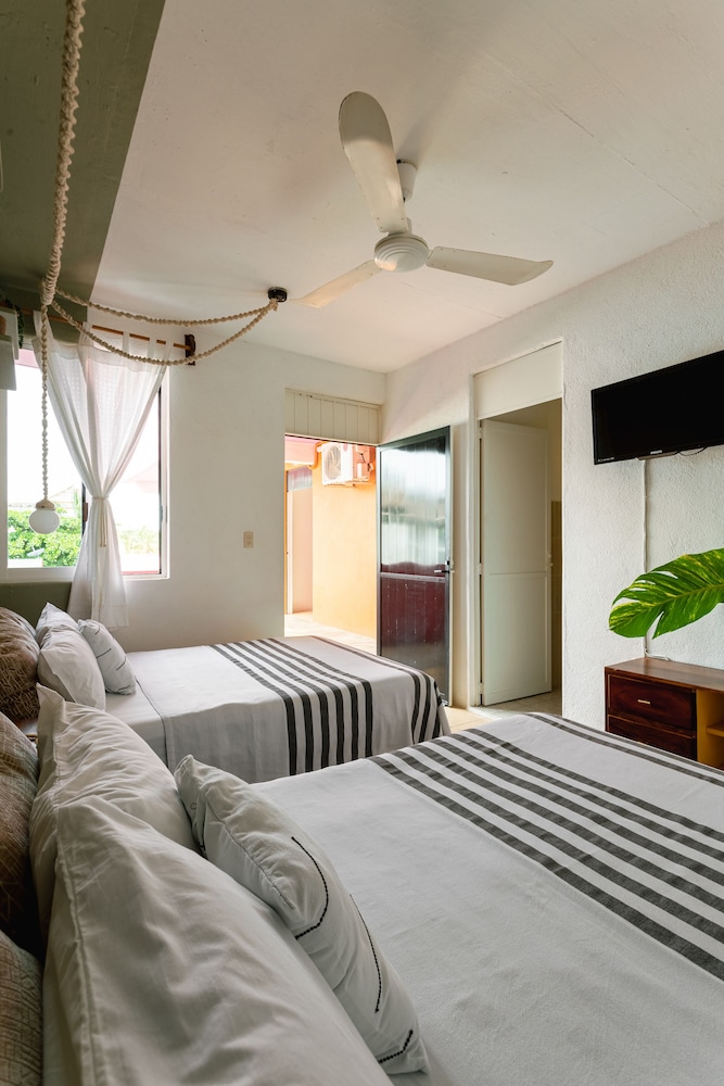 Basic Twin Room, 2 Double Beds photo 2