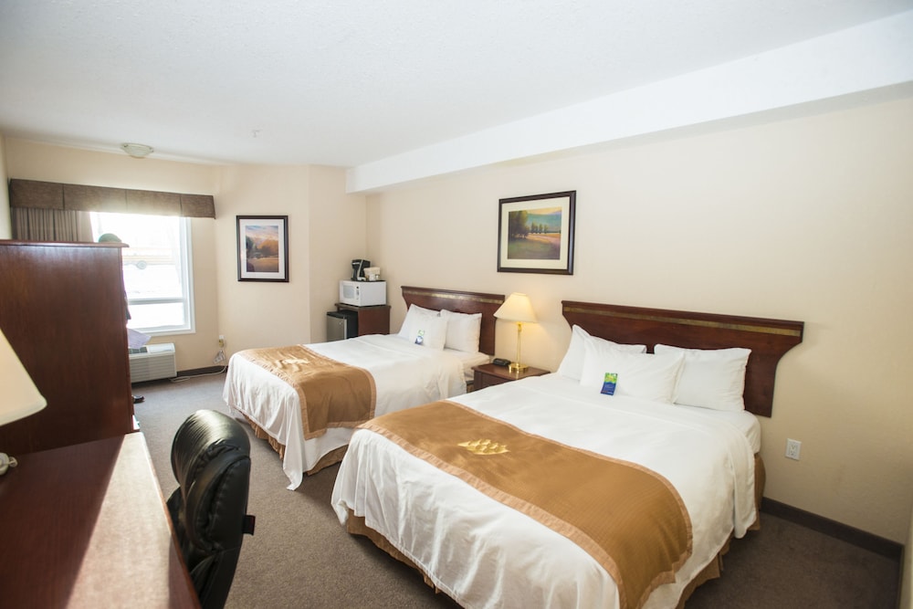 Deluxe Double Room Single Use, 2 Queen Beds, Kitchenette photo 2