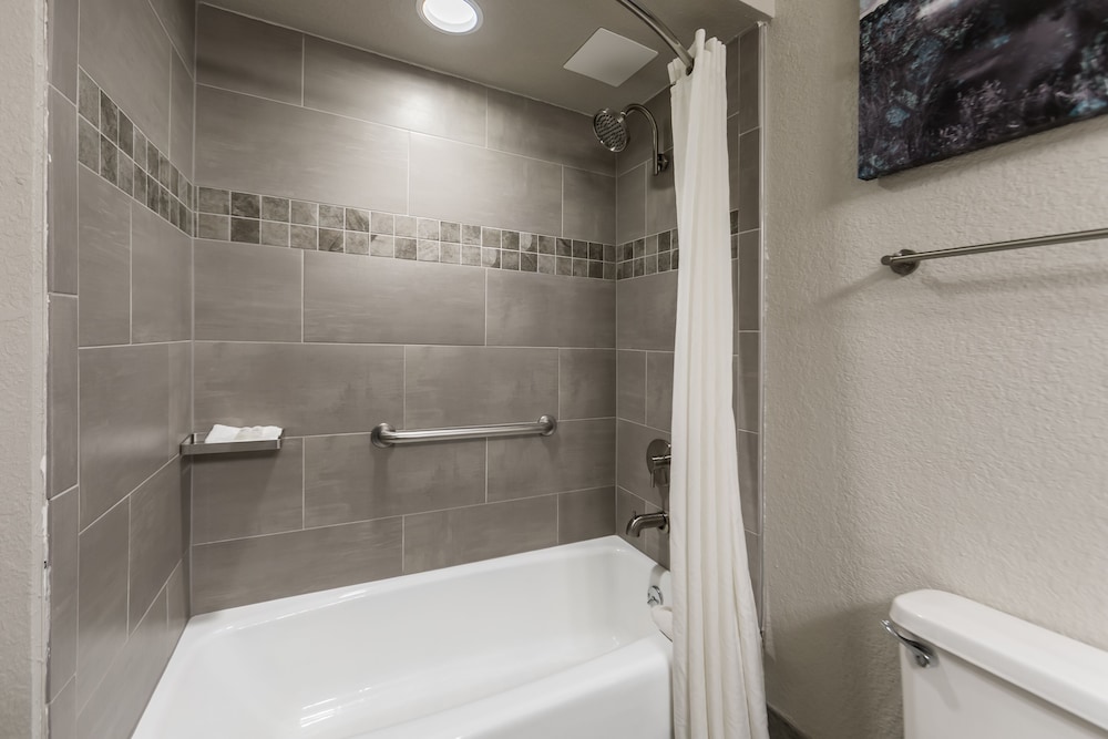 Standard Suite, Multiple Beds, Non Smoking, Refrigerator & Microwave (with Sofabed) - Photo 11