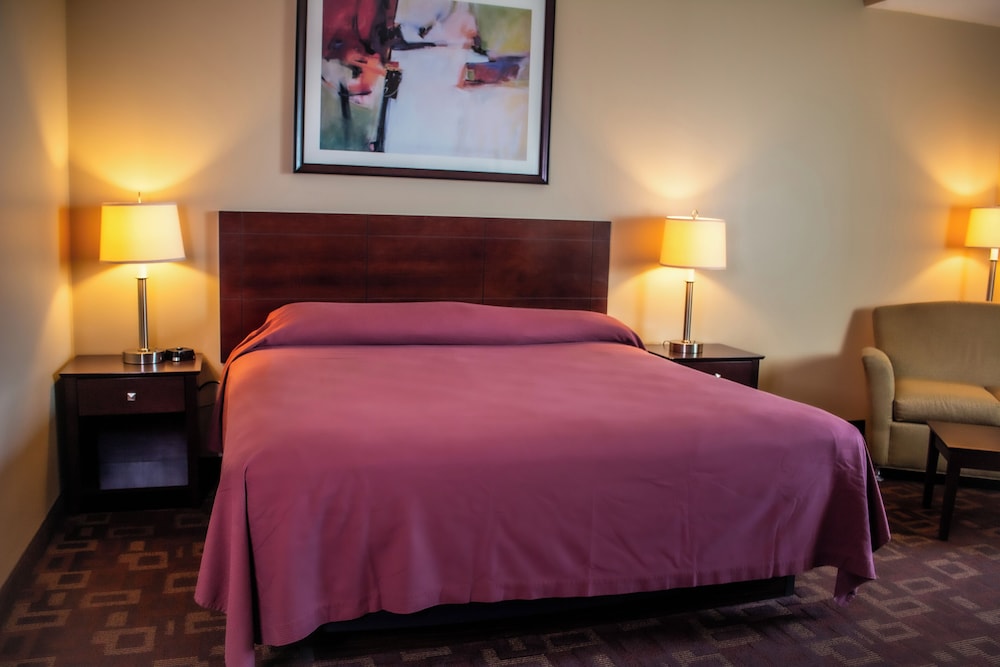 Basic Single Room photo 3