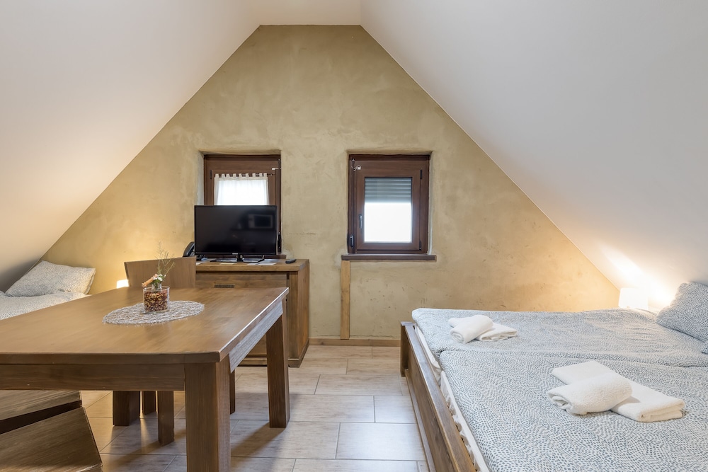Family Studio, 1 Double Bed (Pannonian Studio Mansarde For 2)
