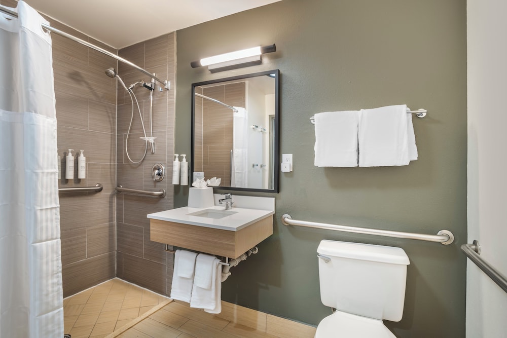 Room, 1 King Bed, Accessible (Mobility & Roll-In Shower) photo 1