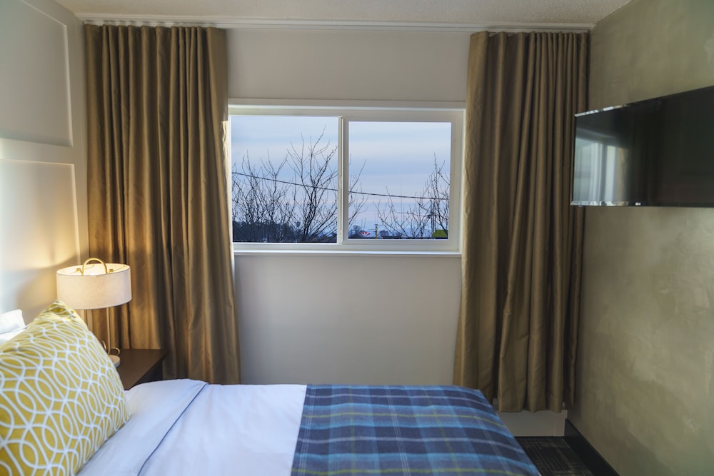 Superior Single Room, 1 Queen Bed, Non Smoking photo 1