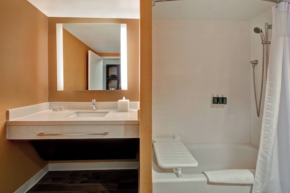 Suite, 1 Bedroom - Photo 5