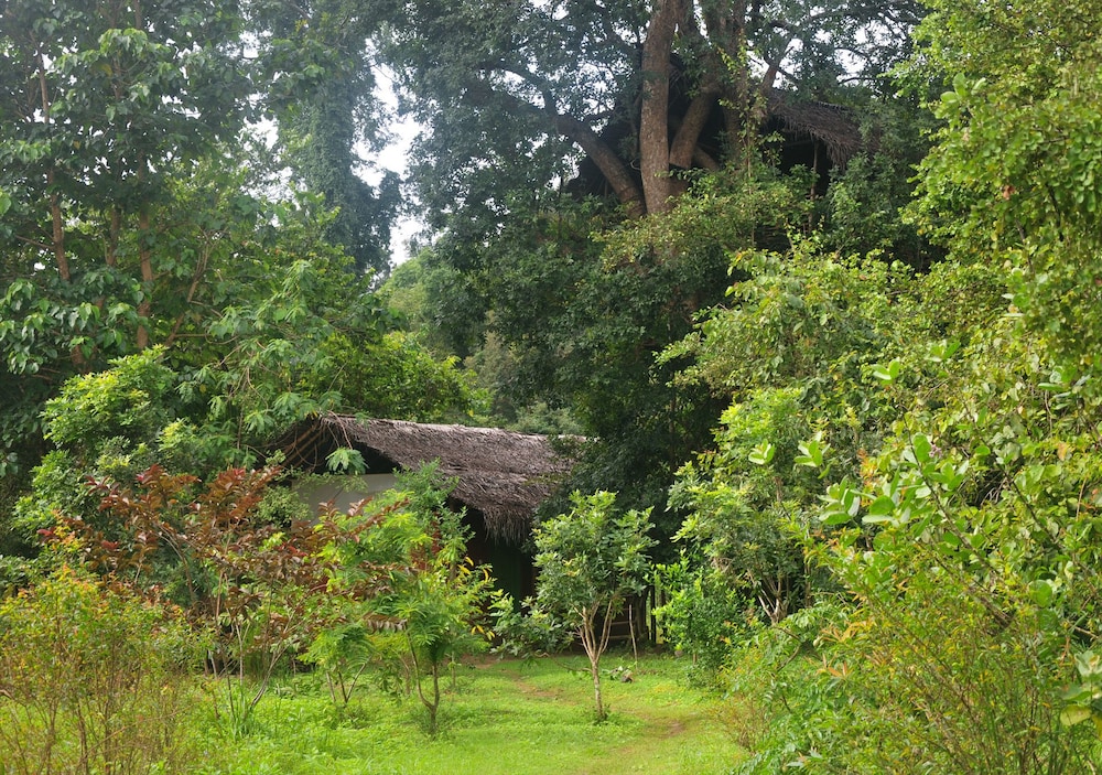 Family Tree House, 1 Bedroom, Non Smoking, Garden View photo 3