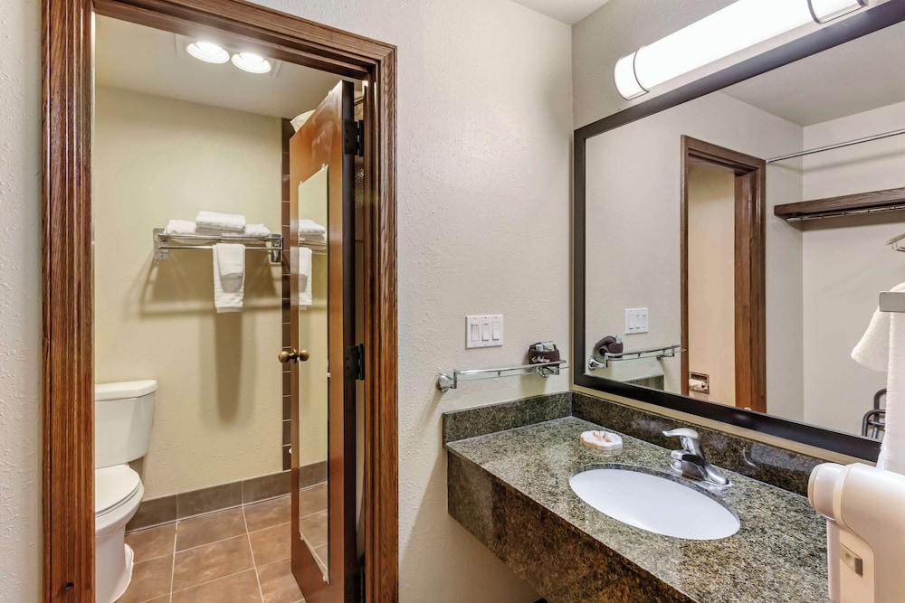 Standard Room, 1 King Bed, Non Smoking, Refrigerator & Microwave (Larger Room) - Photo 4