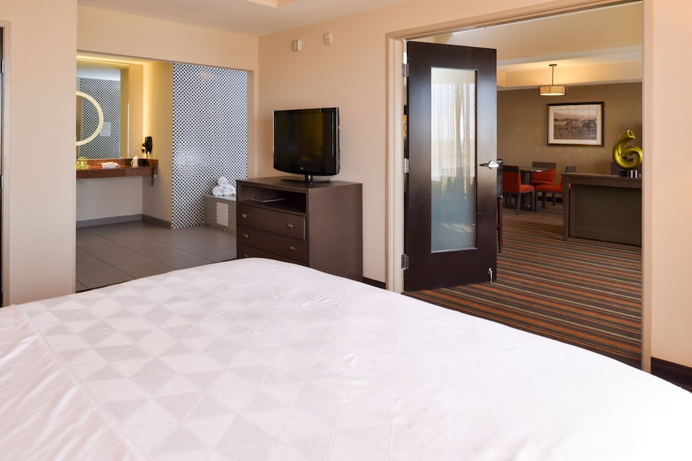 Suite, 1 King Bed photo 2