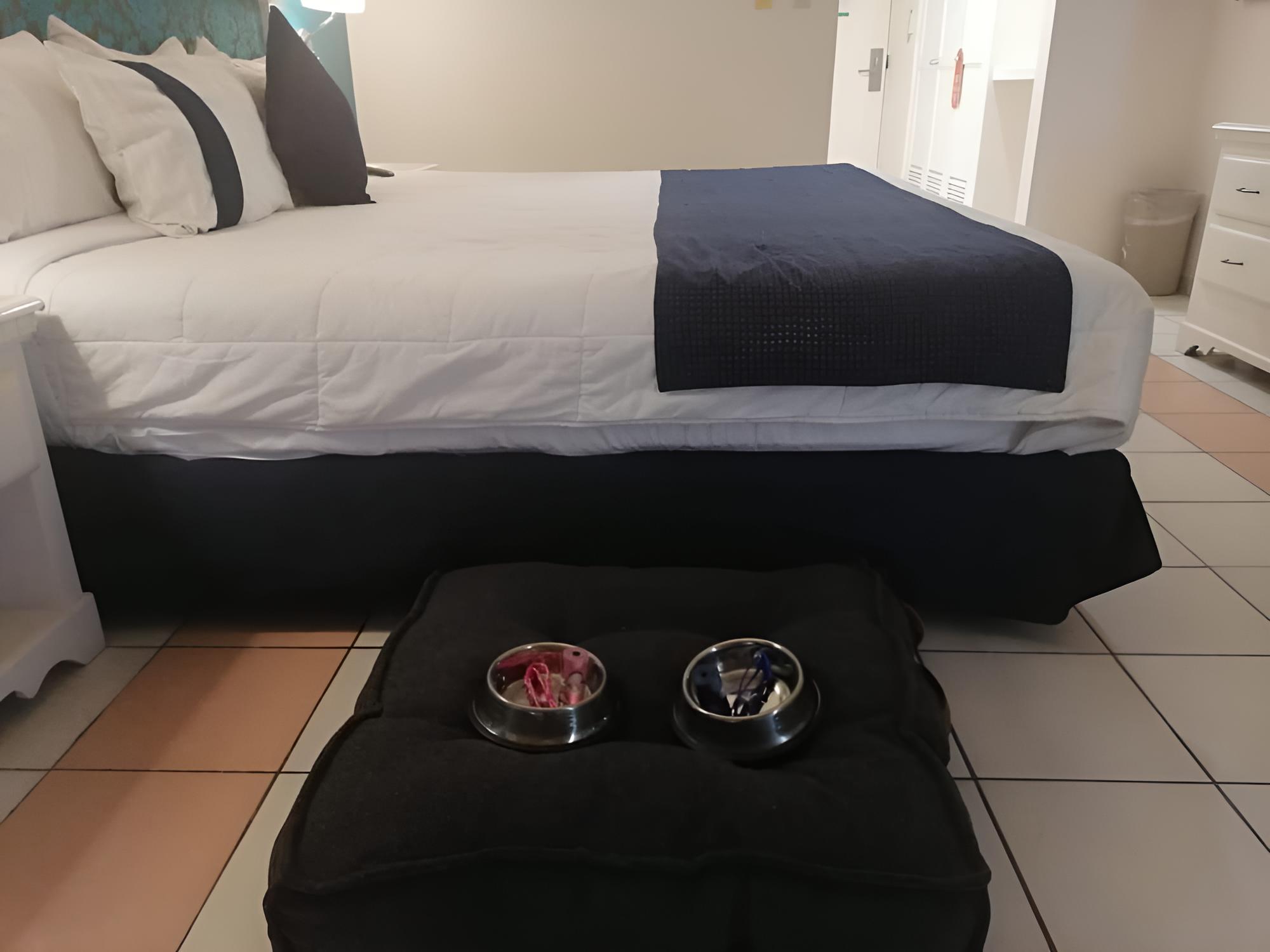 Room (Dog Friendly) photo 3