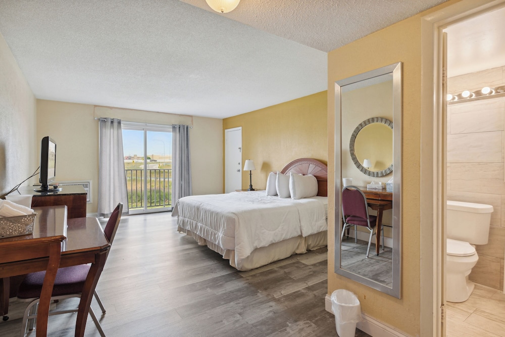 Basic Single Room, 1 King Bed photo 1