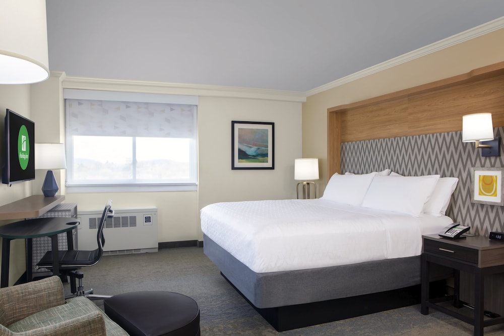 Standard Room, 1 Queen Bed, Mobility Accessible (Accessible Tub) - Photo 1