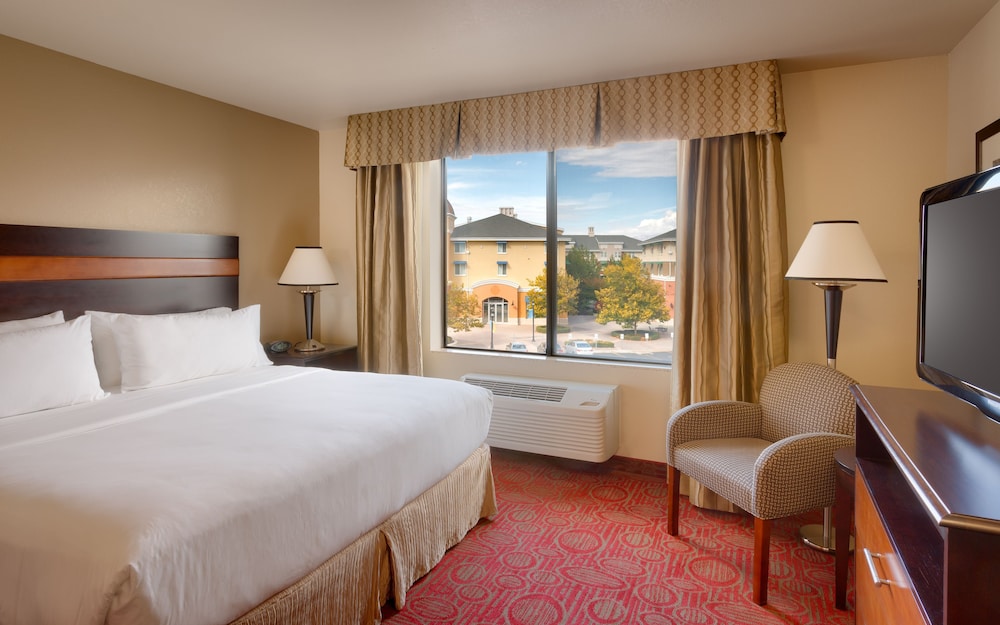 Suite, 1 Bedroom
