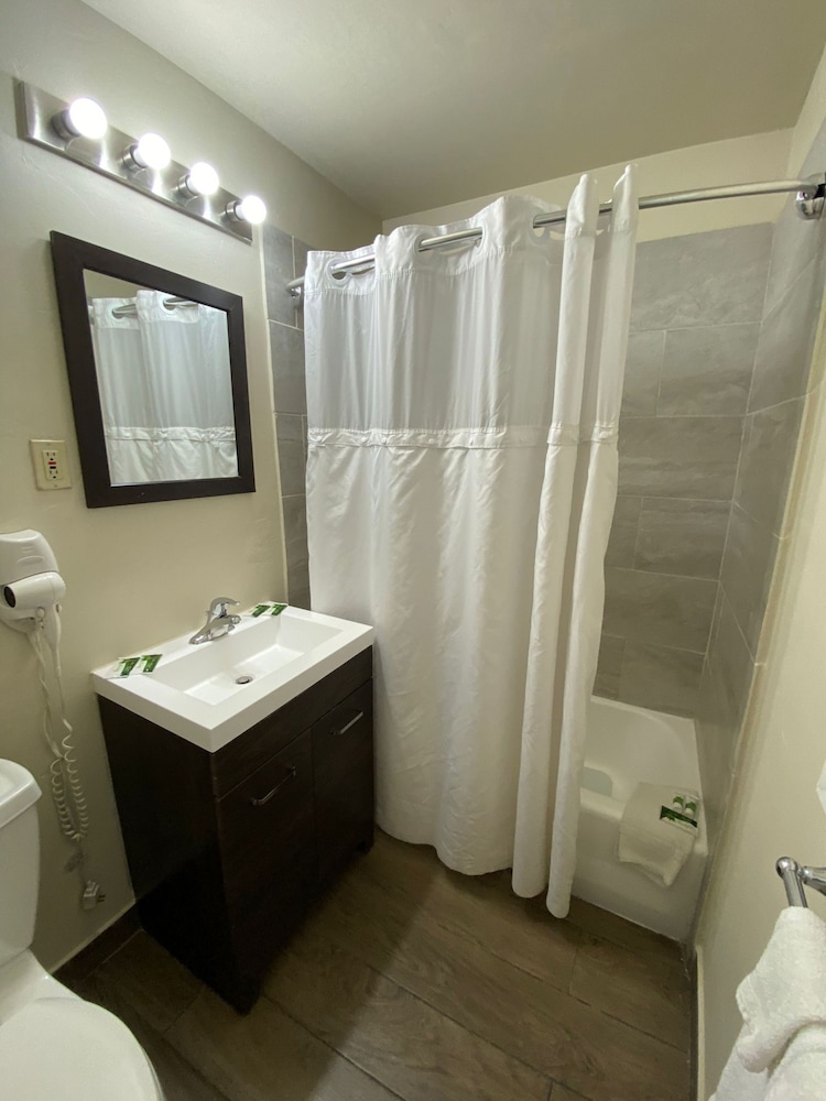 Suite, Accessible, Refrigerator & Microwave photo 3
