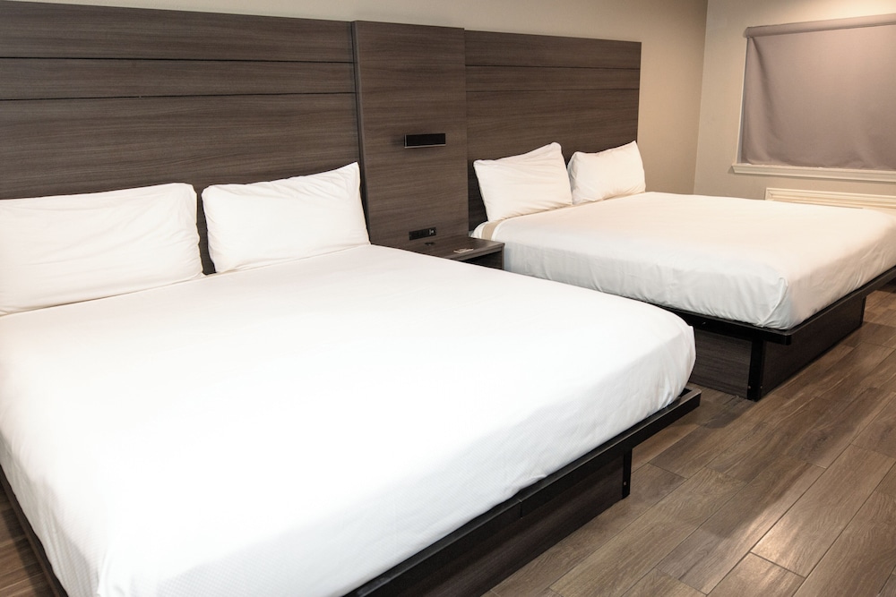 Deluxe Suite, Non Smoking (2 King Beds) photo 2