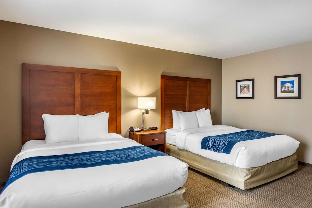 Comfort Inn South Chesterfield - Colonial Heights, Foto 2
