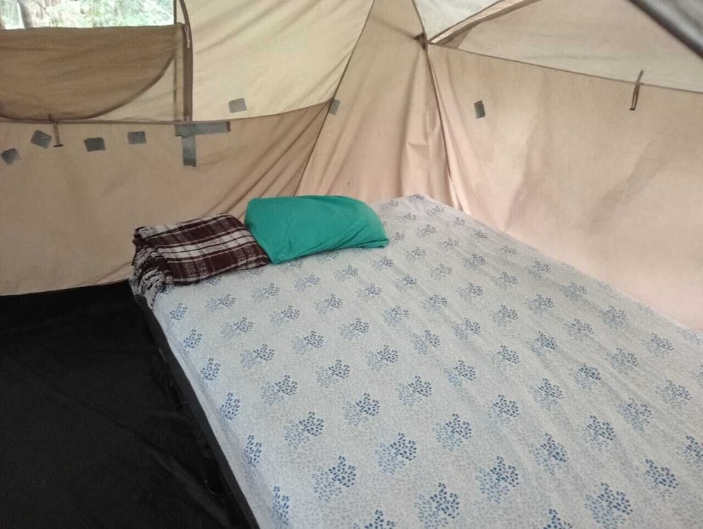 Tent, 2 Queen Beds photo 3
