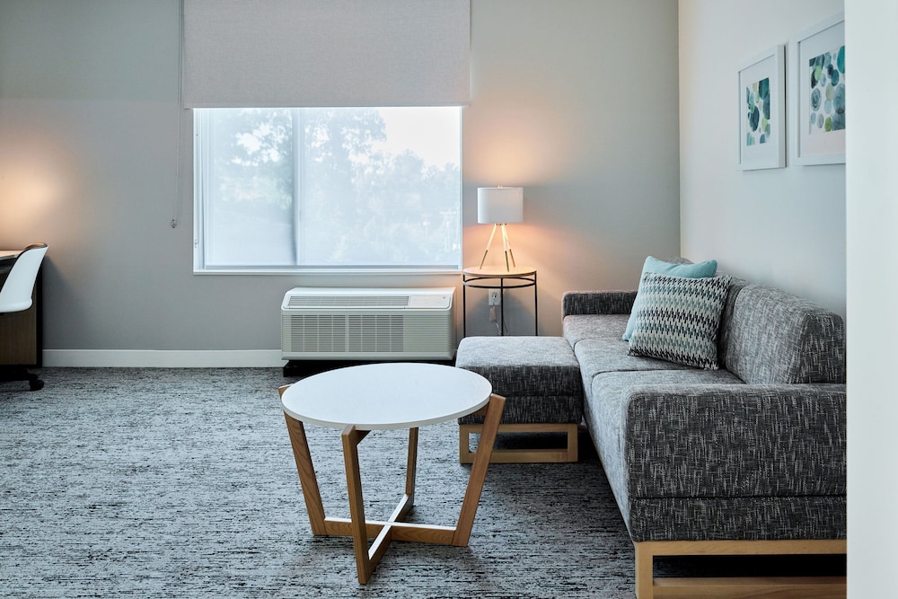 Suite, 1 Bedroom, Mountain View