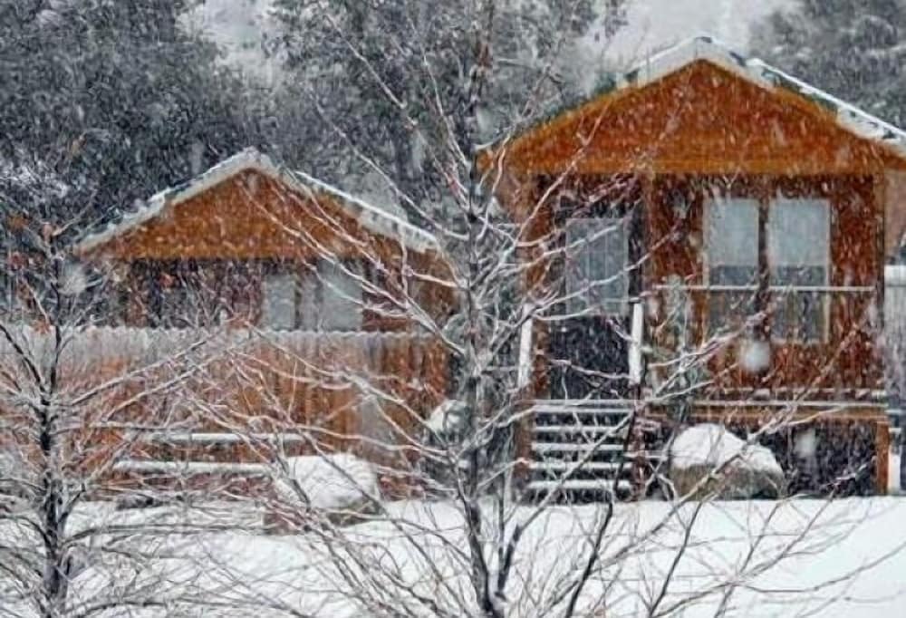Cottage, 1 Bedroom, Non Smoking, Kitchenette (Linens Available, Pets Permitted) photo 1