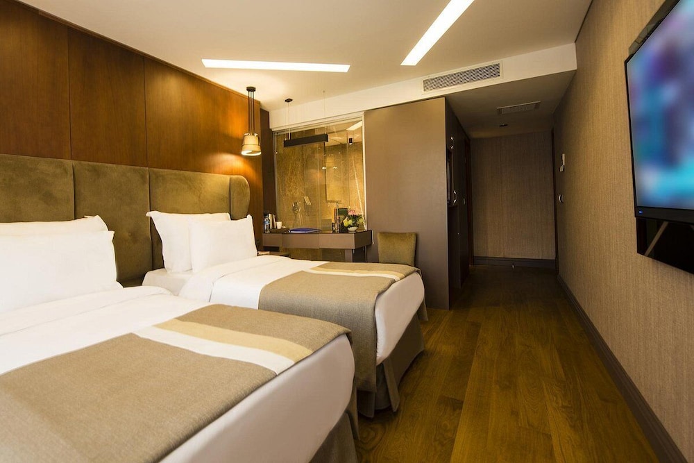 Deluxe Twin Room, City View photo 1